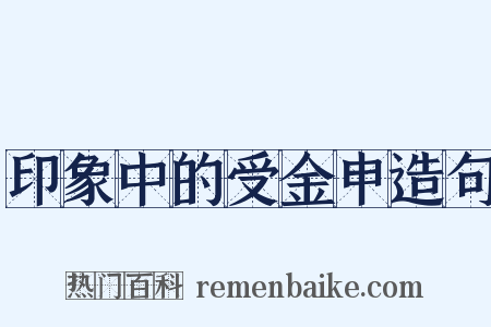 印象中的受金申造句是什么意思的图片